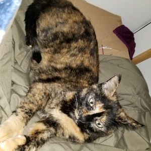 Meet your Posher, Summer